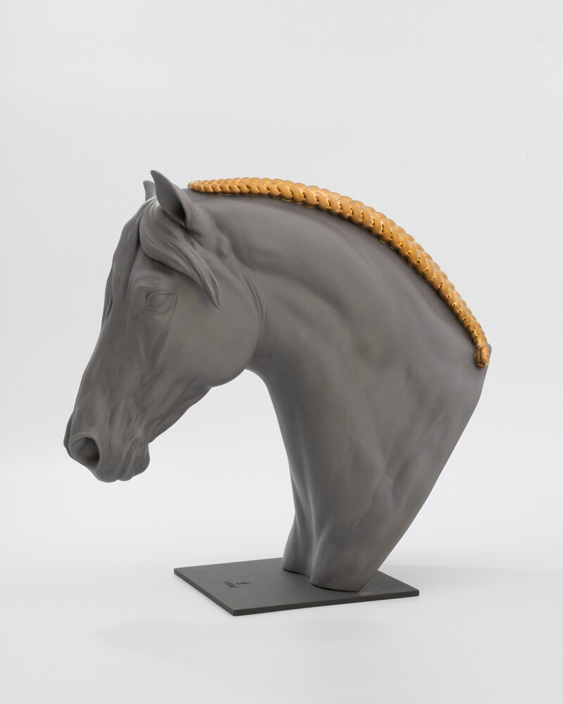 Реалистичный бюст лошади